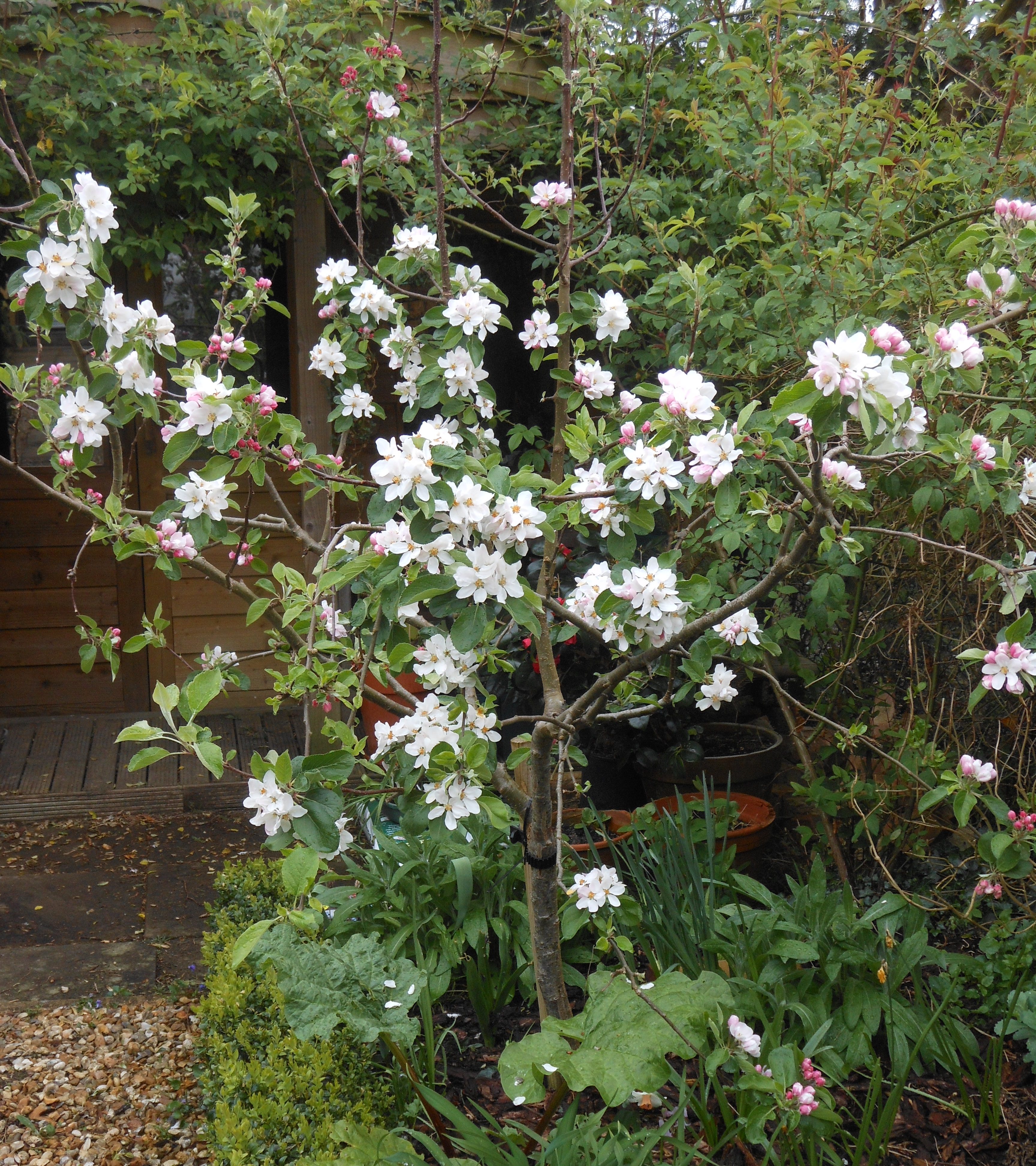 Blog/April 20 Blog pic 11